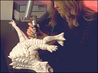 ��yʽ�������������˜y���C